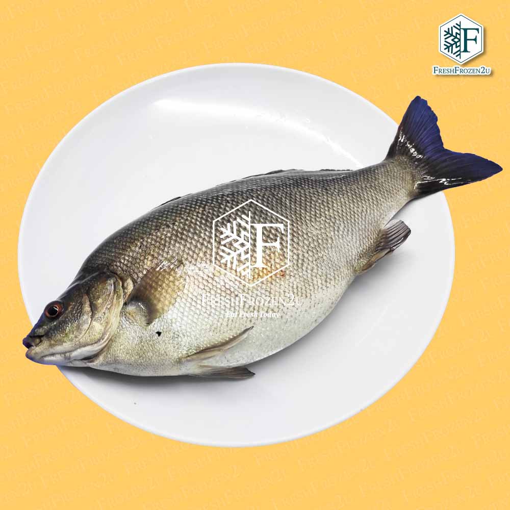 Fish Jade Perch Cleaned (450 g) 宝石鲈鱼