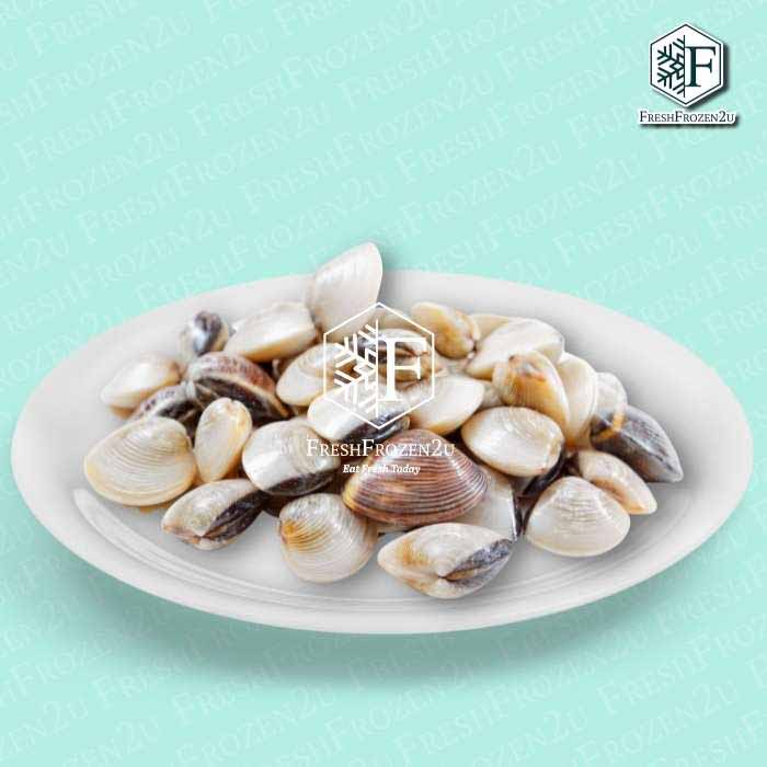 White Clam (1kg) Kepah 沙白